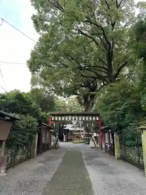 立田阿蘇三宮神社(熊本県)