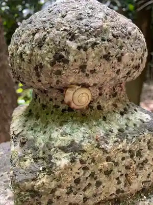 鴨都波神社の動物