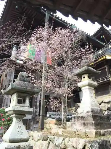 長谷寺の塔