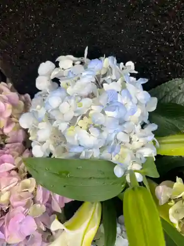 上尾御嶽神社の手水舎