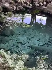 泉神社(茨城県)