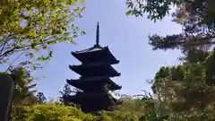 仁和寺の塔