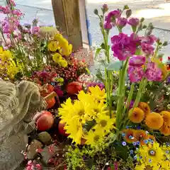 滑川神社 - 仕事と子どもの守り神の手水