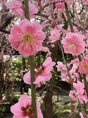 城南宮(京都府)