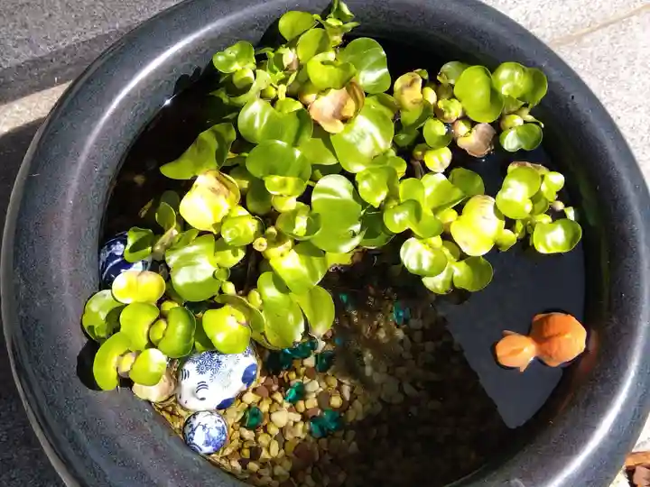 毫攝寺(福井県)