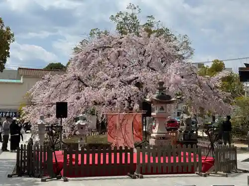 観音神社(広島県)
