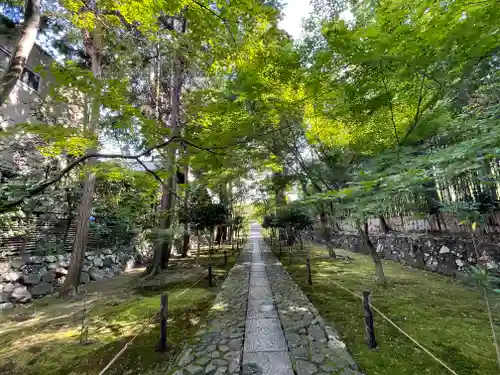 鹿王院の御朱印