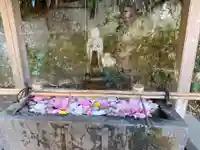 安國論寺(安国論寺)の手水舎