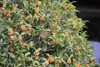 大鏑神社の庭園