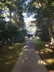 成田熊野神社の建物その他