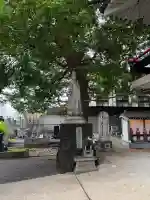 宝蔵院の{uncategorized: "未分類", other: "その他", undefined: "問題あり", building: "その他建物", grave: "お墓", sacred_gate: "鳥居", guardian: "狛犬", statue: "像", buddha: "仏像", history: "歴史", nature: "自然", garden: "庭園", animal: "動物", pagoda: "塔", temizu: "手水舎", mountain_gate: "山門・神門", sanctuary: "本殿・本堂", subordinate: "末社・摂社", art: "芸術", scenery: "景色", jizo: "地蔵", ema: "絵馬", goshuin: "御朱印", omikuji: "おみくじ", items: "授与品その他", amulet: "お守り", goshuincho: "御朱印帳", eats: "食事", festival: "お祭り", votive_dance: "神楽", shichigosan: "七五三参", wedding: "結婚式", experience: "体験その他", initially: "初詣", around: "周辺", anti_infection: "感染症対策"}