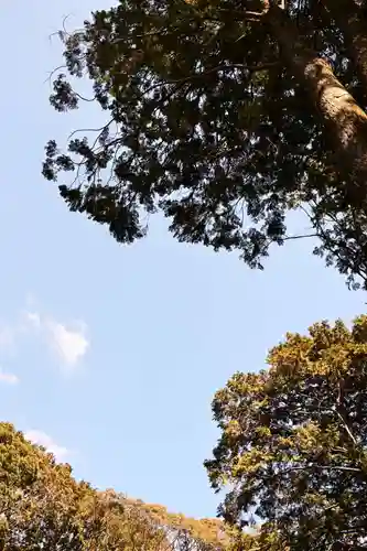 八桙神社(徳島県)
