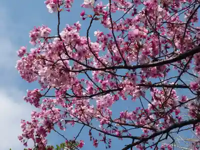 子聖神社(神奈川県)