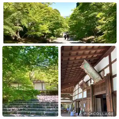 二尊院(京都府)