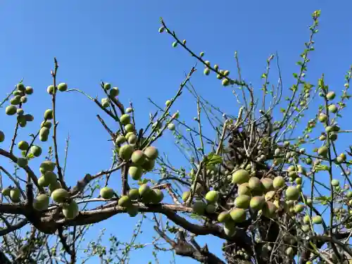 貴布禰神社(静岡県)