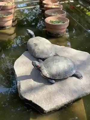 葛原岡神社(神奈川県)
