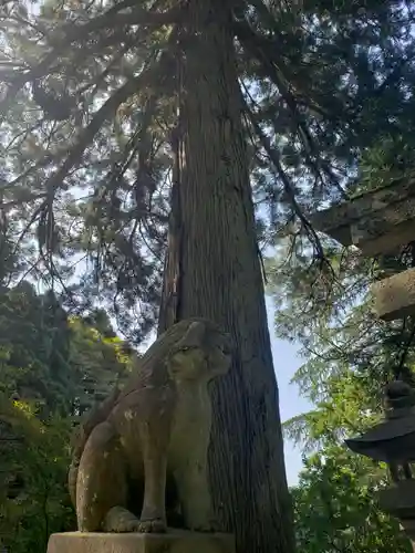 垂姫神社の狛犬