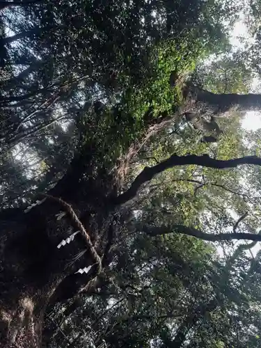 熱田神宮(愛知県)