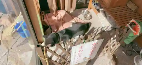 高知八幡宮の{uncategorized: "未分類", other: "その他", undefined: "問題あり", building: "その他建物", grave: "お墓", sacred_gate: "鳥居", guardian: "狛犬", statue: "像", buddha: "仏像", history: "歴史", nature: "自然", garden: "庭園", animal: "動物", pagoda: "塔", temizu: "手水舎", mountain_gate: "山門・神門", sanctuary: "本殿・本堂", subordinate: "末社・摂社", art: "芸術", scenery: "景色", jizo: "地蔵", ema: "絵馬", goshuin: "御朱印", omikuji: "おみくじ", items: "授与品その他", amulet: "お守り", goshuincho: "御朱印帳", eats: "食事", festival: "お祭り", votive_dance: "神楽", shichigosan: "七五三参", wedding: "結婚式", experience: "体験その他", initially: "初詣", around: "周辺", anti_infection: "感染症対策"}