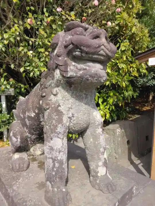 鶴岡八幡宮の狛犬