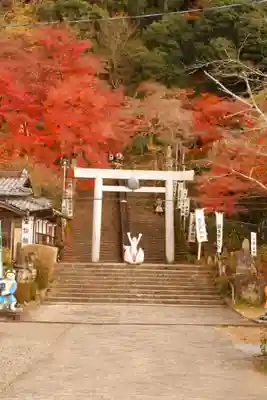 桃太郎神社（栗栖）(愛知県)