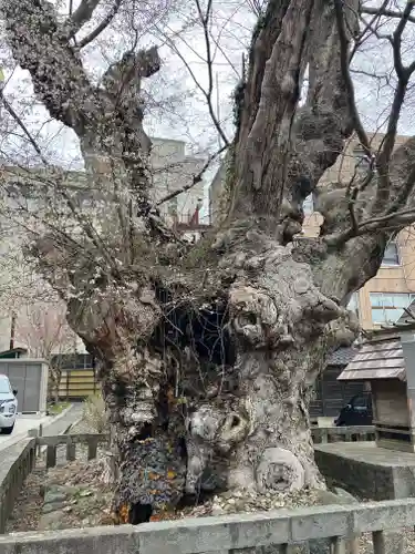 住吉神社（彌彦神社境外末社）(新潟県)