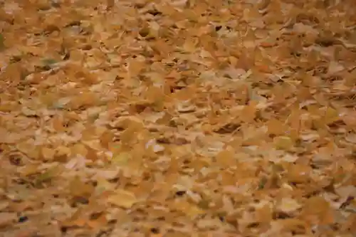 阿邪訶根神社の自然