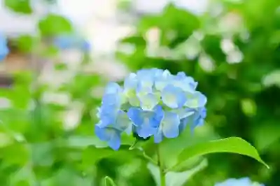 浄土寺(兵庫県)