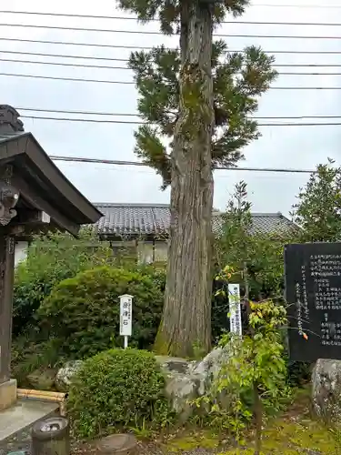 秩父札所１番　四萬部寺(埼玉県)