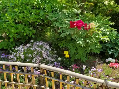 福祥寺（須磨寺）の庭園