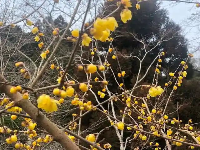 木舟山 順教寺(広島県)