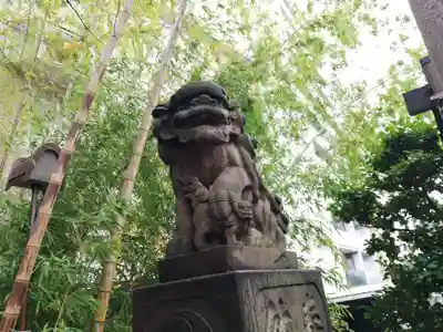 雉子神社の狛犬