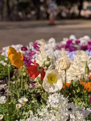 熊野神社(東京都)