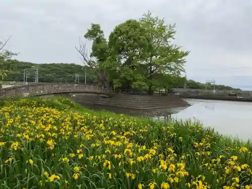 厳島神社の周辺