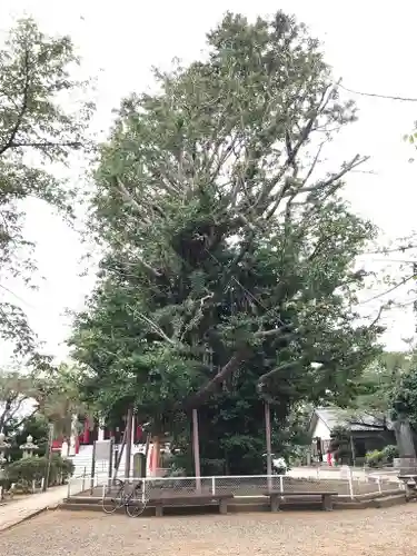 千葉寺のその他建物