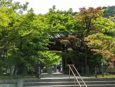 禅林寺(永観堂)(京都府)