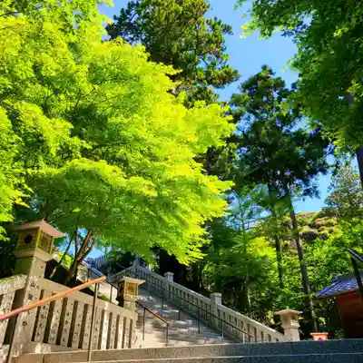 尊永寺(静岡県)