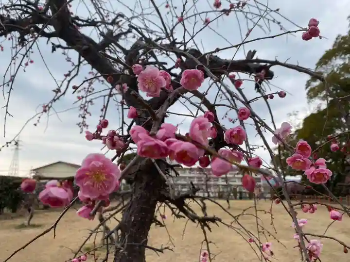 美奈宜神社(福岡県)