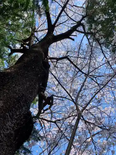 滑川神社 - 仕事と子どもの守り神の自然