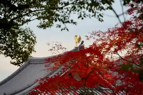 平等院(京都府)