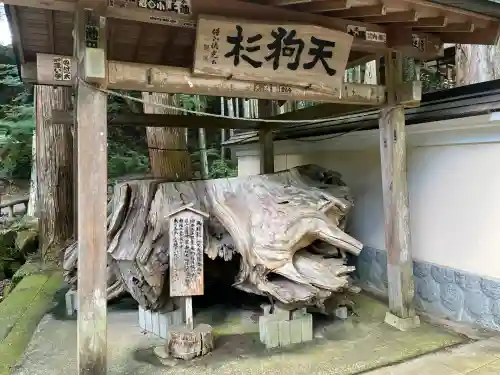 目の霊山　油山寺(静岡県)