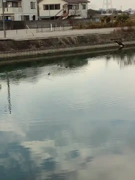 市原稲荷神社の周辺