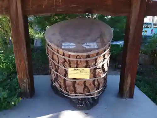 饒津神社の建物その他