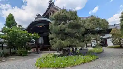 得浄明院(善光寺別院)(京都府)