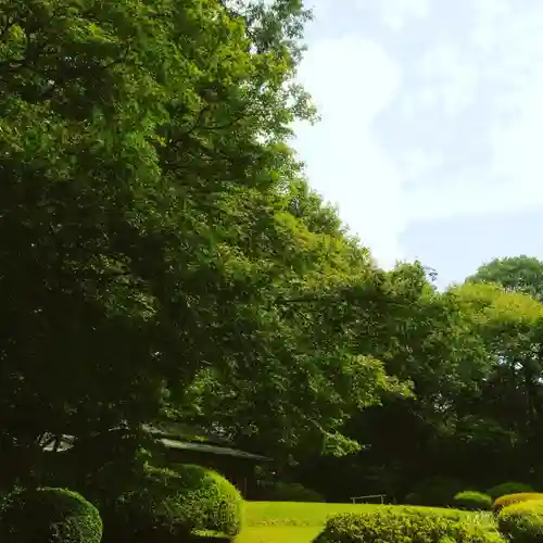 明治神宮の庭園