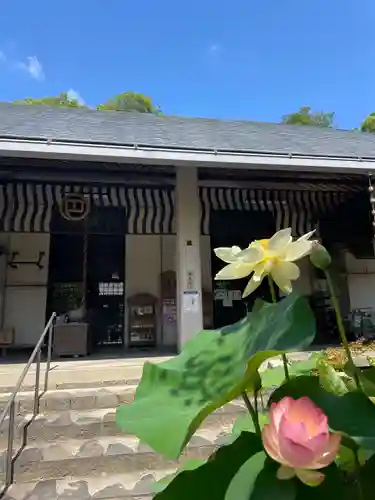 伊勢の国 四天王寺(三重県)