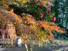 眞福寺の自然