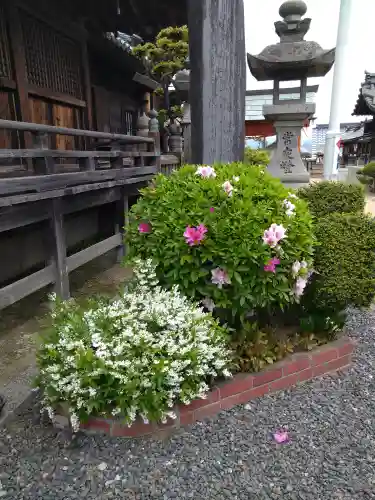 羽黒神社の自然