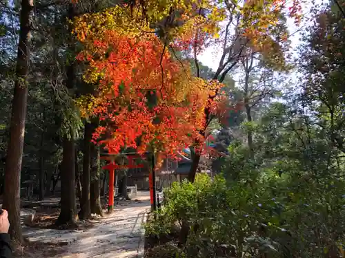 大麻比古神社の建物その他