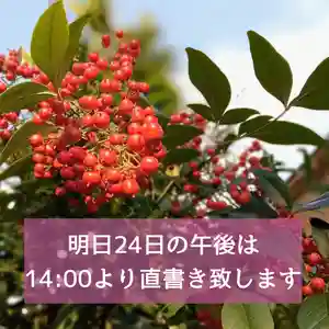 阿邪訶根神社(福島県)(2022年10月24日(月) 00時59分21秒投稿)